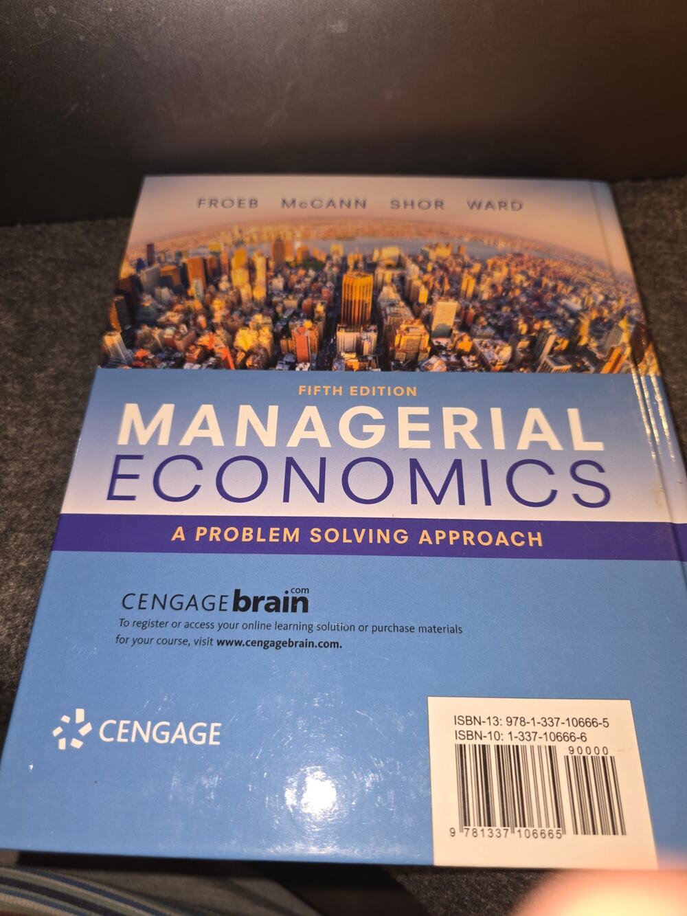 Managerial Economics A Problem Solving Approach 5th Edition Froeb Textbook